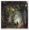 Nieodkryty magiczny świat, astrologia, niebo, konstelacje, gwiazdozbiór, mityczne zwierzęta, znaki zodiaku, hipogryf, zamek Drakuli, smok, smoki, skóra smoka, smocza łuska, złoty smok, napisy, litery, runy, alfabet runiczny, wierzenia nordyckie, las, jele